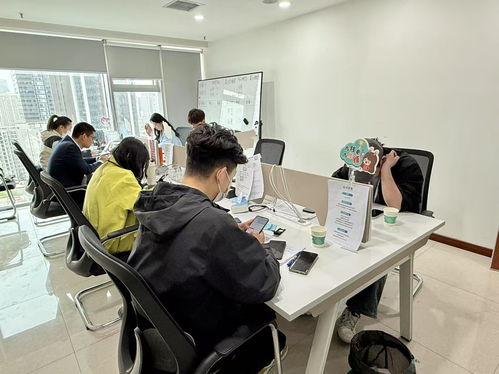 亲测体验 陕西某营销咨询公司项目落地与技术咨询深度融合实践剖析